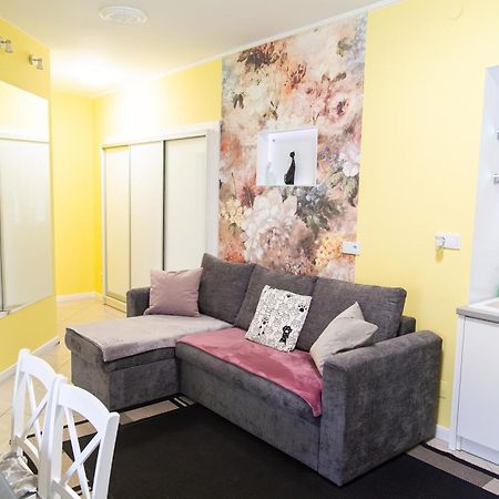 Apartament Przy Rynku Ostrowiec Świętokrzyski Zewnętrze zdjęcie